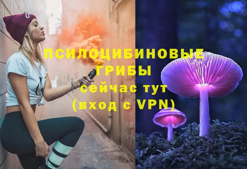 Псилоцибиновые грибы Cubensis  Тольятти 